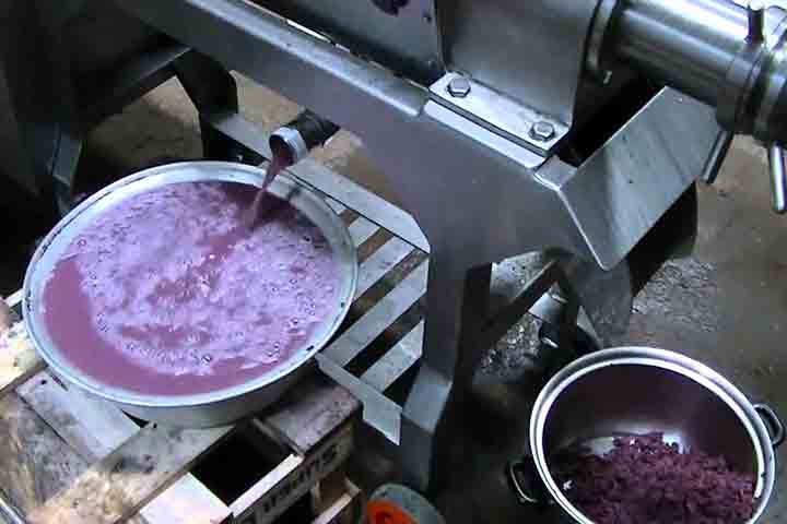 Dessa forma, a produção de sucos de uva total de 2023 teve um aumento de 7,8% quando comparada à safra de 2022, totalizando 38.216.760.58 litros. A maior produção é de suco de uva tinto integral e, em segundo lugar, de suco desta fruta branco integral.  -  Reprodução de Youtube
