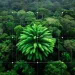 Cientistas tentam encontrar fêmea para planta mais solitária do mundo - Encephalartos woodii