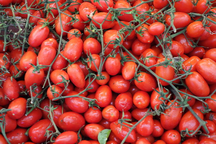 Pomodoro Datterino: Também conhecido como tomate cereja italiano, é caracterizado por seu formato pequeno oval, sabor doce e pele fina. Sua doçura natural o torna versátil, podendo ser utilizado em diversos pratos, desde saladas até conservas.