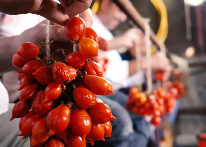 Pomodoro Piennolo: Originário da Campânia, é um tomate pequeno e enrugado com sabor intenso e concentrado. Tradicionalmente pendurado em cachos para secar, é utilizado para produzir o famoso 