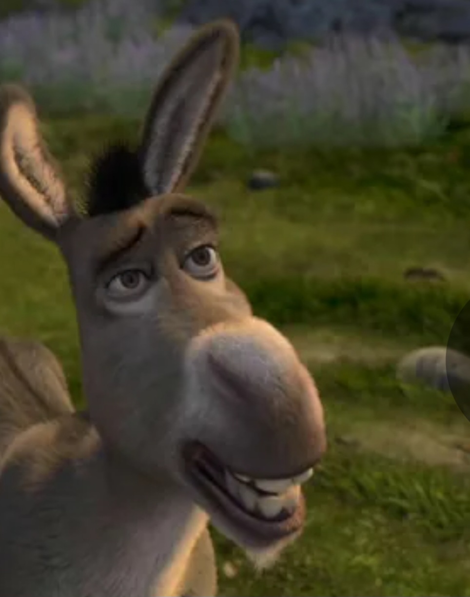 Inclusive, o personagem chamado de Burro na franquia "Shrek"  não pode ser burro já que teve filhotes com a Dragão fêmea. Os burros são estéreis. Donkey deve ser jumento...