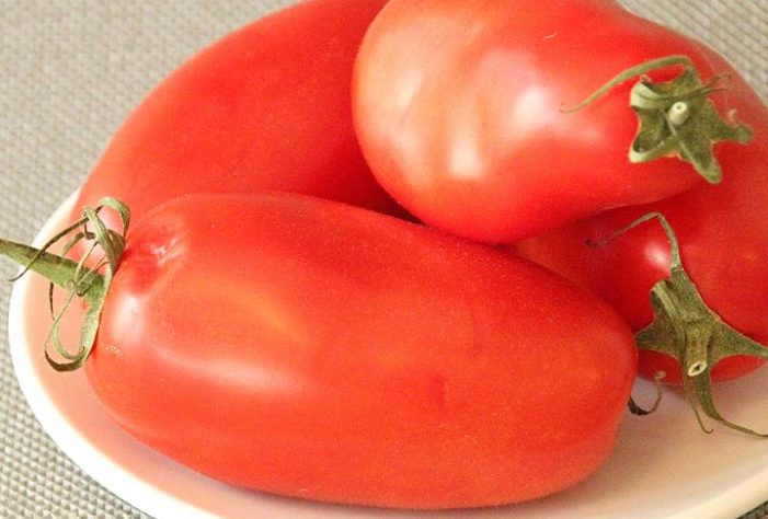 Tomates italianos - San Marzano