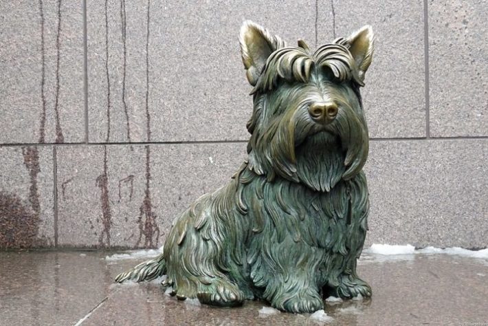 Cão de Roosevelt, Washington (EUA)