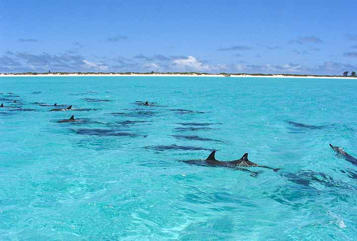 <p>16º – Estados Unidos – A cultura norte-americana é o resultado de uma mistura complexa de tradições, principalmente de origens europeias e africanas, o que contribui para a alegria do povo.</p>
