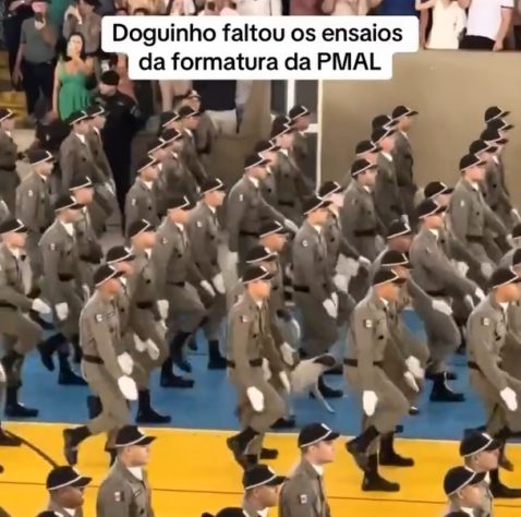 Vídeo de vira-lata marchando com soldados viraliza na web