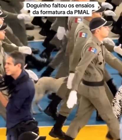 Vídeo de vira-lata marchando com soldados viraliza na web