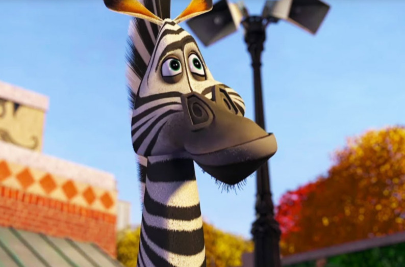 Na animação, Marty - personagem de "Madagascar" - é uma zebra das planícies, nativa desde a Etiópia até a África do Sul.  Marty ganhou popularidade entre a garotada. 