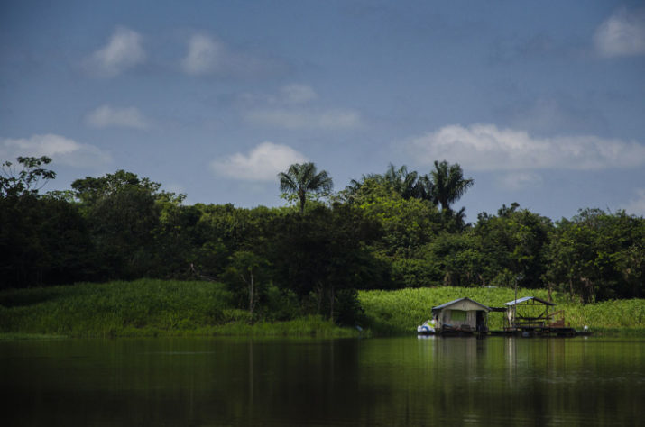 Lago do Janauari