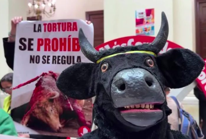 Congresso da Colômbia aprova proibição de touradas