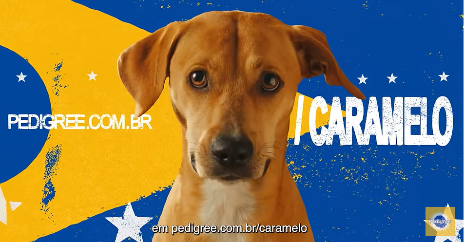 A campanha se chama "Pedigree Caramelo" e foi criada pela agência AlmapBBDO para a marca de ração da empresa Mars. O anúncio recebeu o Leão de Ouro na categoria Creative Strategy do Festival de Cannes. -Reprodução de vídeo campanha Pedigree Caramelo