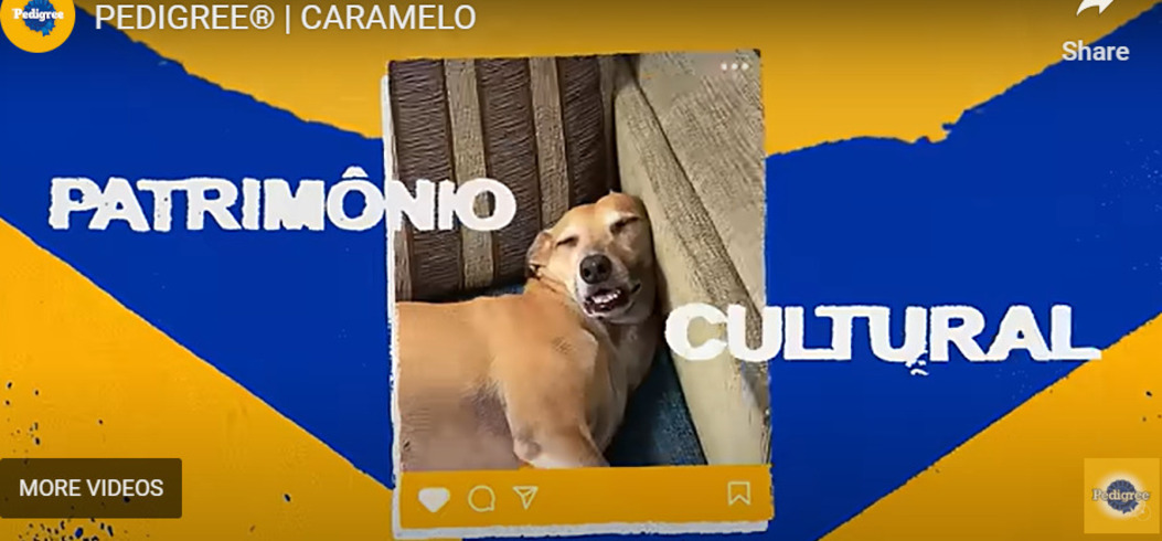 A campanha trata o vira-lata caramelo como um patrimônio cultural brasileiro e valoriza o animal como uma "instituição" querida de todos. -Reprodução de vídeo campanha Pedigree Caramelo