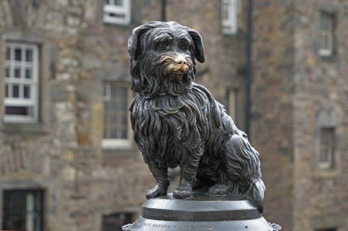Estátua de cachorro GENÉRICA