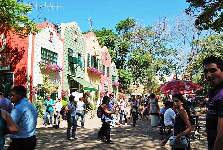 Holambra é um dos 29 municípios paulistas considerados Estância Turística pelo Estado de São Paulo. Esse status, que chegou em 1998, faz com que a cidade receba uma maior verba para promover o turismo regional.