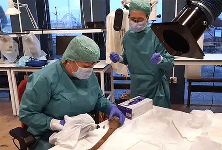 ?Para nós, é interessante e desafiador estudar os esqueletos do Vasa. É muito difícil extrair DNA de um osso que está no fundo do mar há 333 anos, mas não é impossível?, declarou a professora de genética forense Maria Allen, em um comunicado à imprensa da Universidade de Uppsala, que analisa e tenta fazer identificações das ossadas. 
 - Reprodução/Anna Maria Forsberg /Vasamuseet/ SMTM