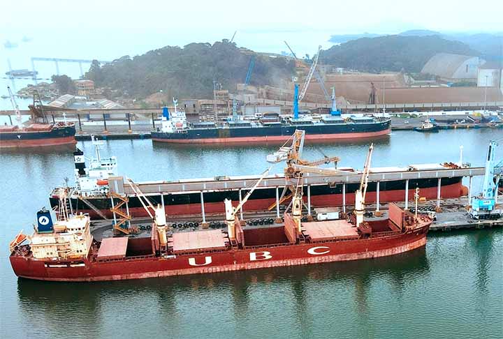 O Porto de São Francisco do Sul (SC), é um dos principais portos do Sul do Brasil, destacando-se pela exportação de produtos agrícolas e industriais. O porto possui terminais para grãos, celulose e carga geral.