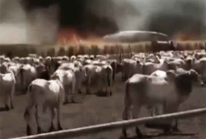 Incêndios em São Paulo
