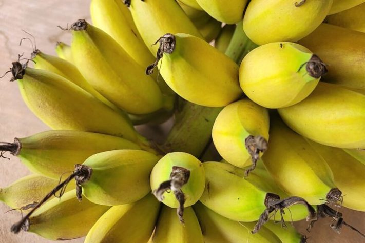 Bananas