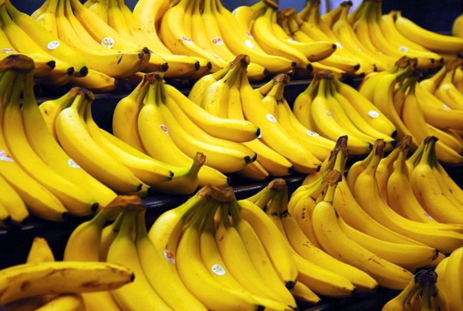 Banana nanica pode desaparecer, mas há chance de salvar a fruta; veja como