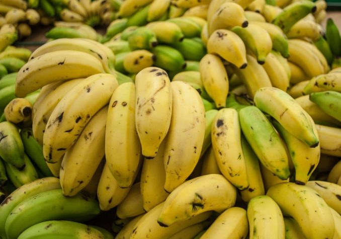 Cachos de bananas