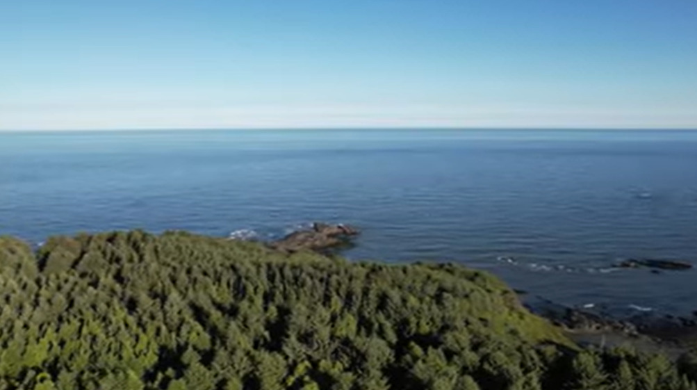 A observação das duas lontras, ocorreu em Ecola Point, na praia de Cannon, que é um ponto badalado que recebe muitos turistas.  A descoberta surpreendente foi festejada por biólogos da Elakha Alliance, formada por pesquisadores, comunidades costeiras e lideranças indígenas. 