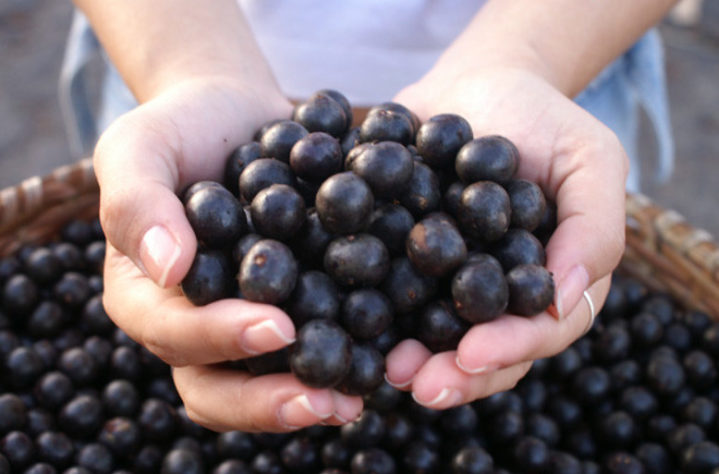 Açaí