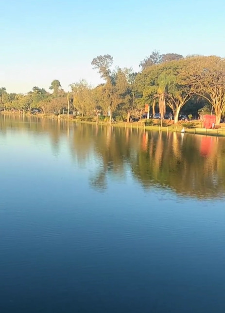 O Lago Vitória Régia, em Holambra, tem uma bela paisagem onde vivem animais que chamam a atenção dos visitantes, como patos e capivaras. Um lugar perfeito para contemplação e descanso.