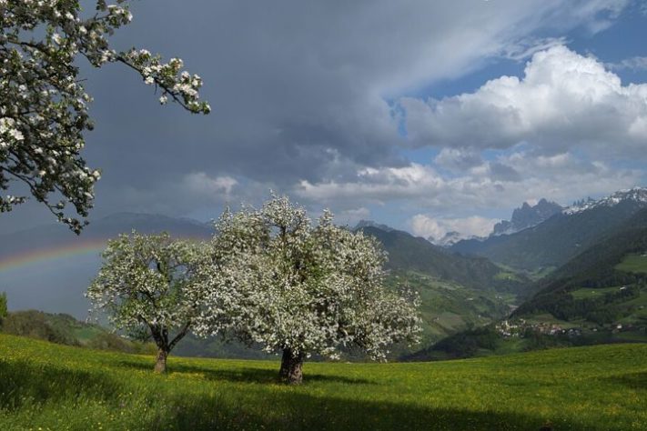 Eifel, Alemanha