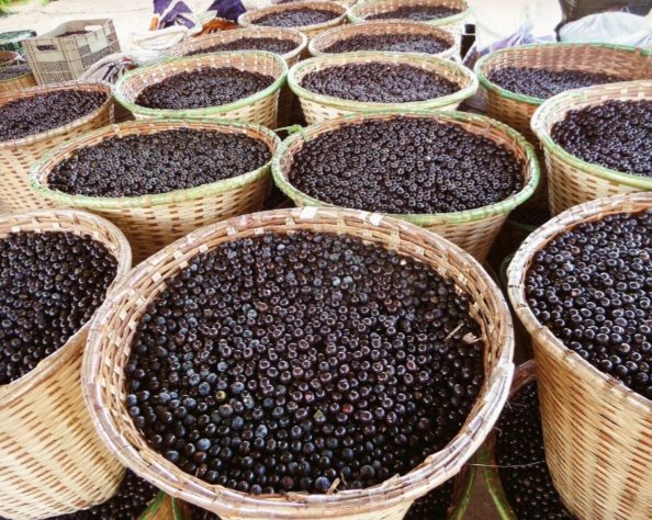 Açaí