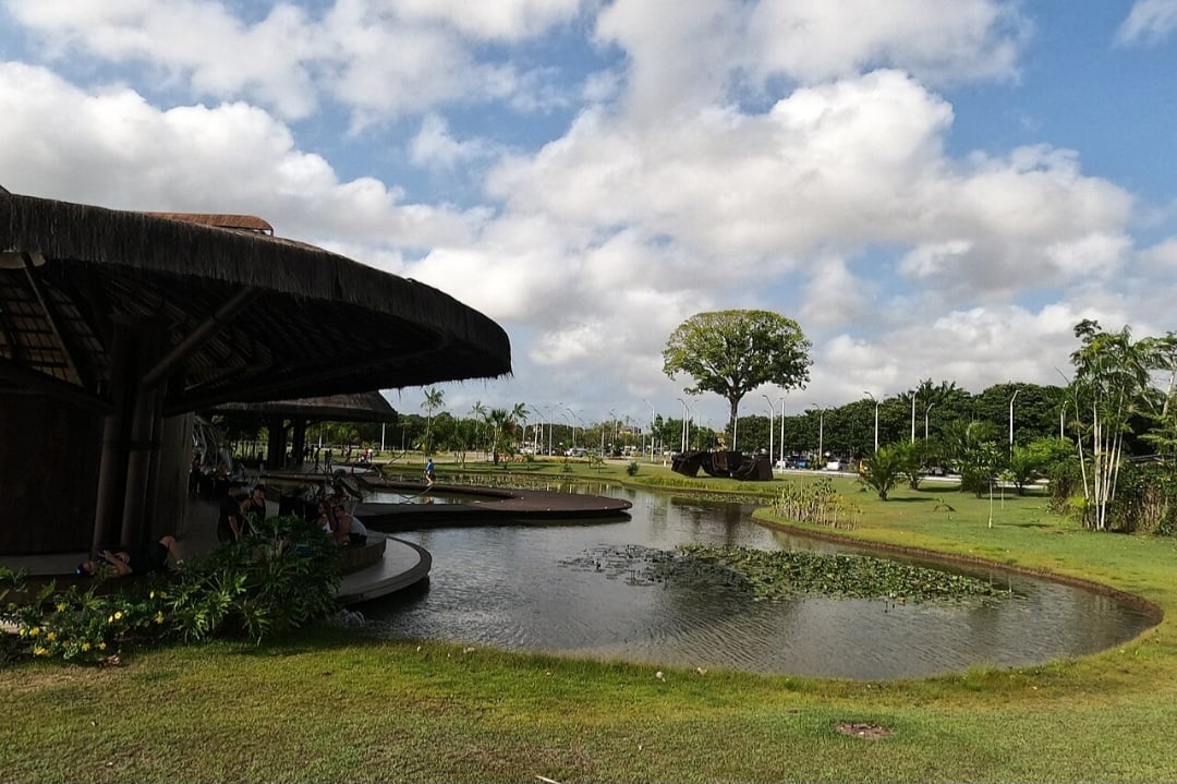 O flagrante foi no Parque Estadual do Utinga, uma unidade de conservação na região metropolitana da capital paraense, criado em 1993 para preservação de ecossistemas de relevância ecológica.-Túllio F wikimedia commons 