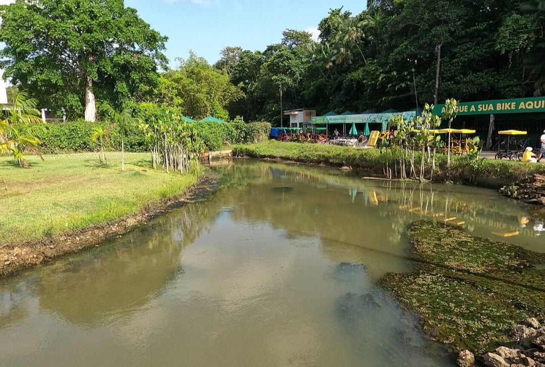 Com uma área de 14 km², o parque também é dedicado ao ecoturismo, oferecendo trilhas para caminhadas, rapel, tirolesa e outras atrações para os aventureiros, além de ser um espaço de lazer e contemplação para os próprios moradores de Belém no dia a dia. -Túllio F wikimedia commons 