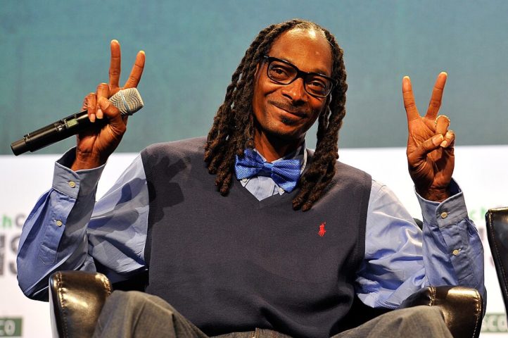 Ao longo dos anos, Snoop Dogg se diversificou além do rap, atuando em filmes e programas de televisão, como "Half Baked" e "Training Day", e apresentando o programa "Martha & Snoop's Potluck Dinner Party" ao lado de Martha Stewart.