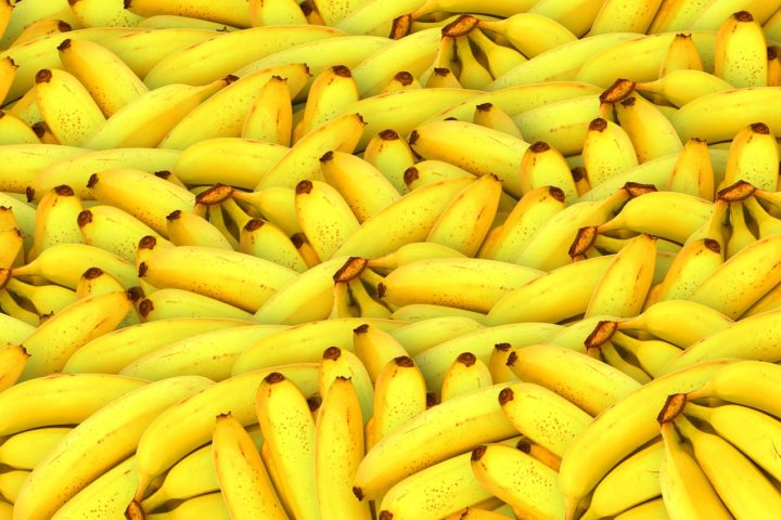 Banana nanica pode desaparecer, mas há chance de salvar a fruta; veja como