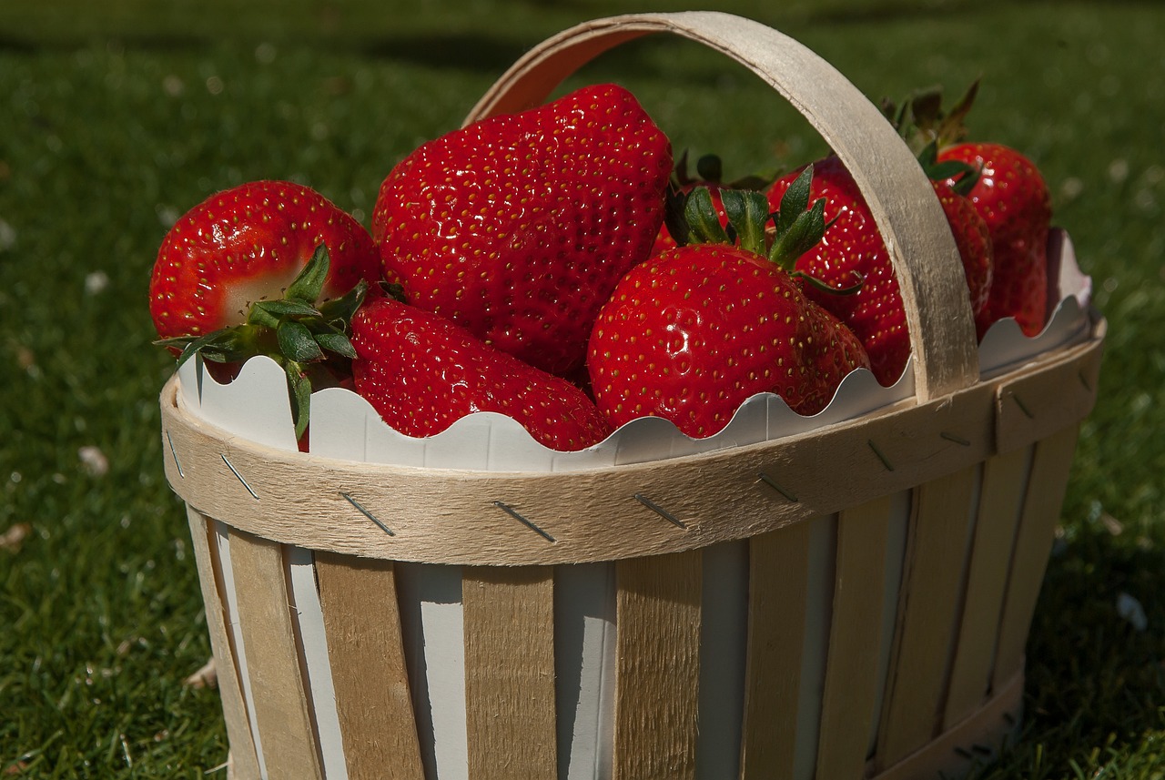 Agora vamos falar dos maiores produtores dessa fruta que é tão procurada pelos consumidores tanto pelos benefícios quanto pelo gosto e a versatilidade de uso na cozinha. - Imagem de jacqueline macou por Pixabay