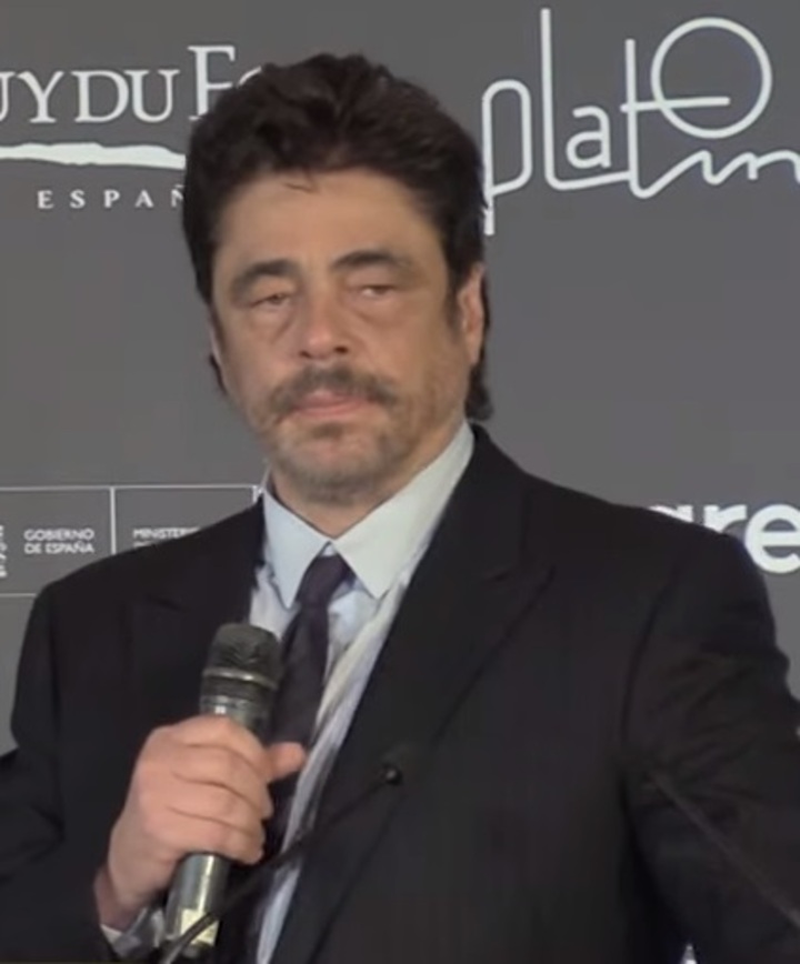Vários artistas conhecidos nasceram na ilha de Porto Rico. É o caso, por exemplo, do premiado ator Benício del Toro. 
