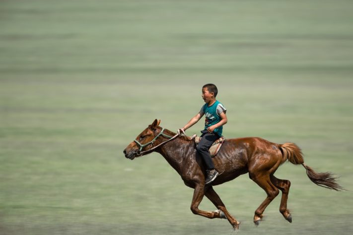 Dia Nacional da Equoterapia