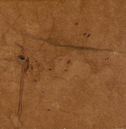 Uma ilustração rupestre na Caverna de Araña, em Valencia, na Espanha, mostra uma pessoa pendurada em uma espécie de cipó, se esticando para alcançar uma colmeia e coletar mel de abelhas silvestres. Estima-se que a pintura tenha há 8 mil anos, 