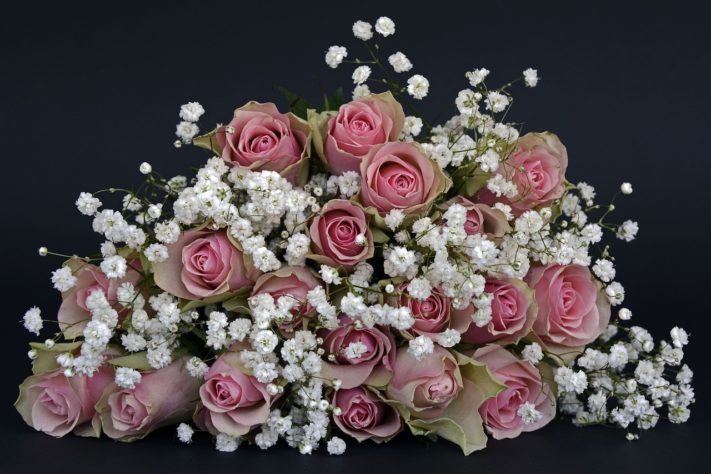 Rosas