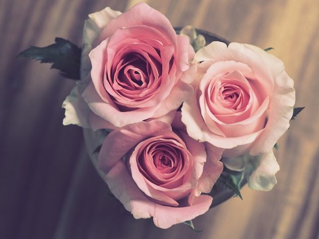 Rosas