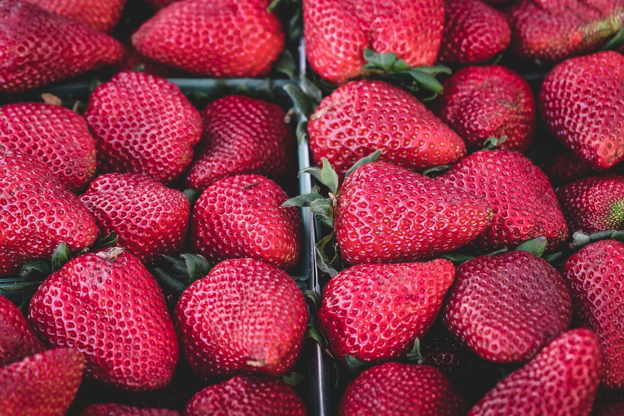Outros produtores notáveis ??de morango no mundo são a Turquia, Espanha, Rússia, Polônia e Marrocos, além do Brasil , que também tem uma grande produção da fruta.  - Imagem de Beth Thomas por Pixabay

