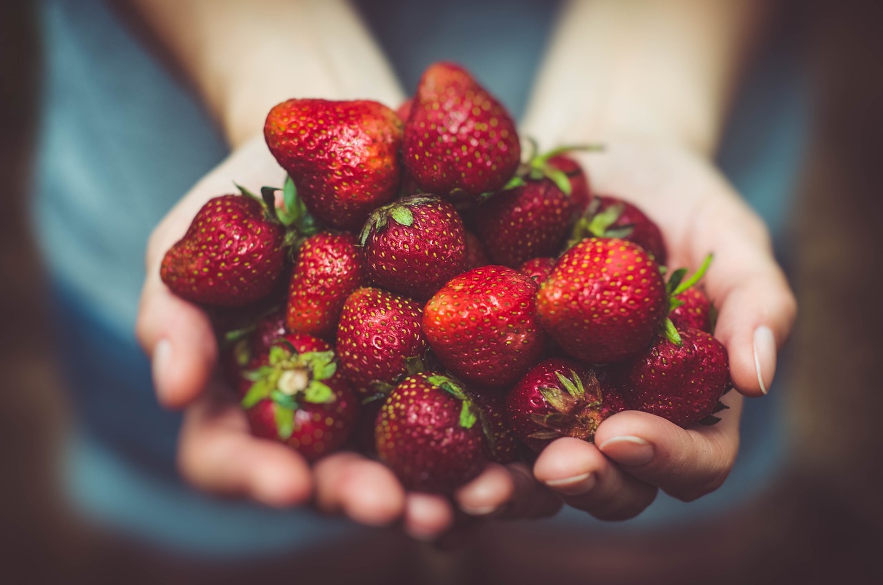 O consumo do morango ajuda a diminuir o colesterol, melhorar a capacidade cognitiva e prevenir doenças como Alzheimer e câncer. - Imagem de Pexels por Pixabay