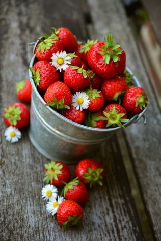 Morango