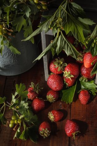 Morango