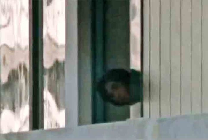 Massacre de Munique (1972). - Reprodução de vídeo SporTV