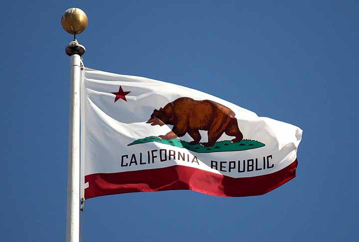 São Francisco (EUA) - Urso: O urso é um símbolo da cidade desde a fundação da Califórnia. O famoso "Urso da Califórnia" representa força e resistência, e aparece no estado de bandeira desde 1846.