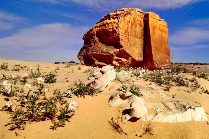 Al Naslaa - formação rochosa em deserto da Arábia Saudita intriga cientistas