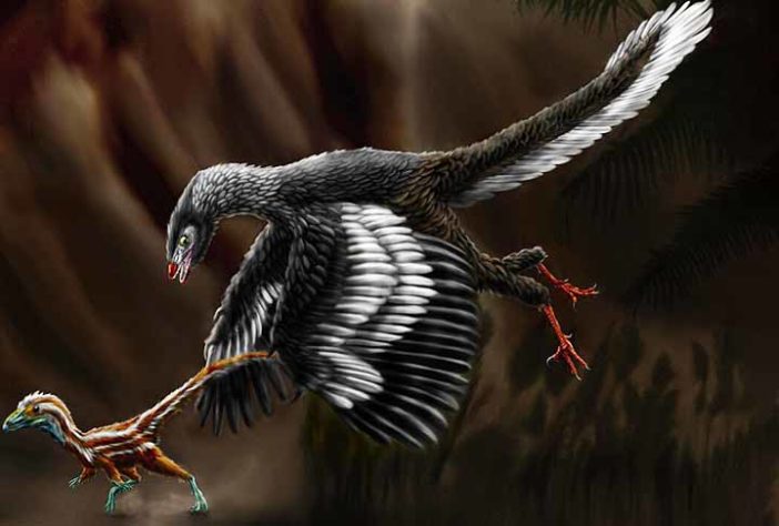 Aves pré-históricas