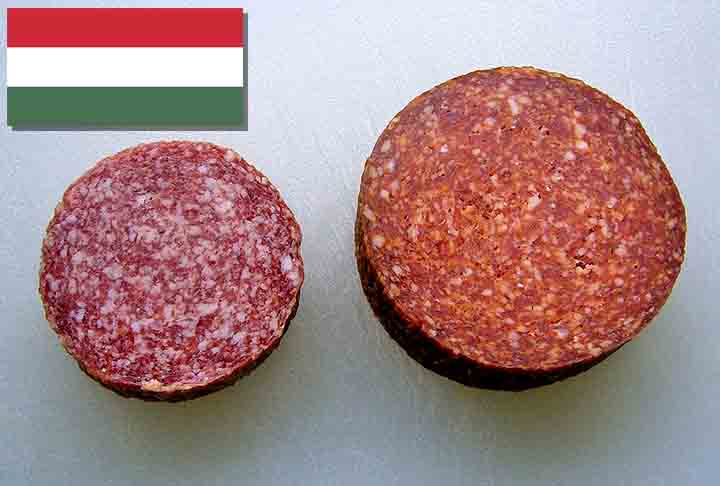 11º) Szegedi szalámi (Hungria) - Originário da cidade de Szeged, no sul da Hungria, é temperado com especiarias, como alho, pimenta-do-reino e a icônica páprica húngara, que dá ao salame seu sabor distinto. - Kent Wang/Wikimédia Commons