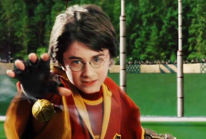 No primeiro livro, "A Pedra Filosofal", Harry captura o pomo de ouro em seu primeiro jogo de quadribol, apesar da falta de experiência. Sua habilidade impressiona seus colegas e seus adversários.