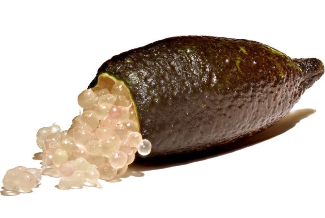 Tipo de limão custa tão caro que é chamado de limão-caviar o quilo