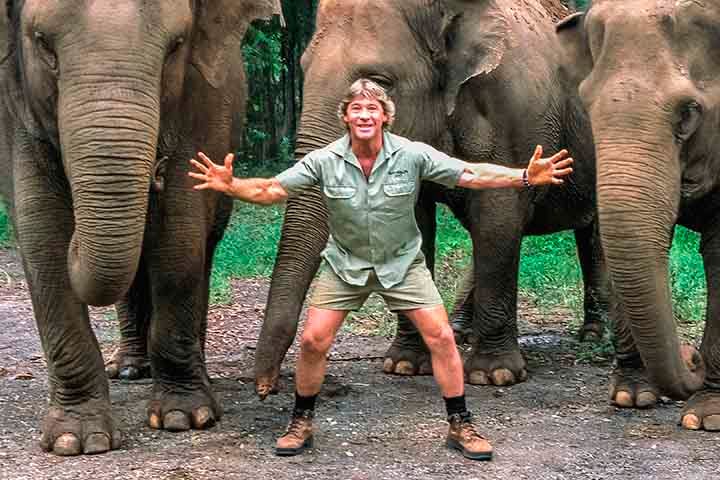 Ainda assim, acidentes podem ocorrer e, embora raros, com gravidade. O caso mais famoso é o do apresentador australiano Steve Irwin, conhecido como Caçador de Crocodilos, que morreu em 2006 após ser atingido no peito pelo ferrão de uma raia durante uma gravação submarina. 

